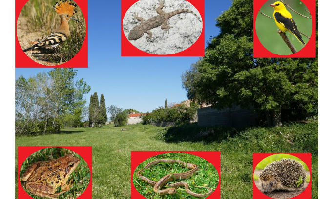 Stop au projet de contournement du lotissement 