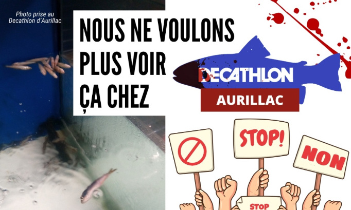Nous ne voulons plus voir ça chez Decathlon Aurillac !