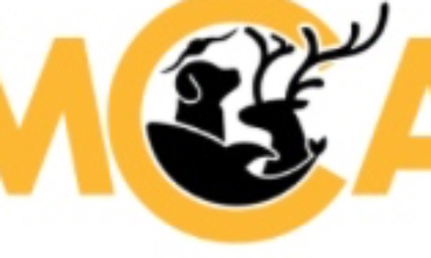 Fermons le site mesopinions.com
