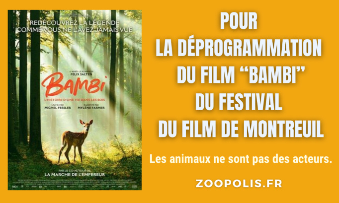 Festival du Film de Montreuil : pour la déprogrammation du film 