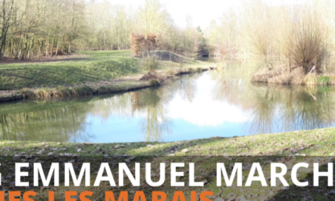 Faisons en sorte que notre étang redevienne comme avant