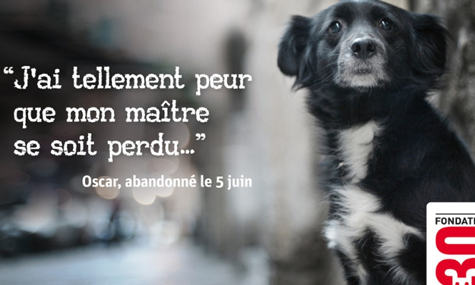 Qu'on cesse d'abandonner les animaux