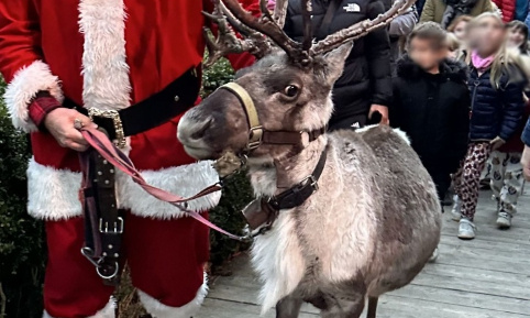 Victoire : Stop aux parcs à Rennes au Château du Père Noël de Menthon-Saint-Bernard !