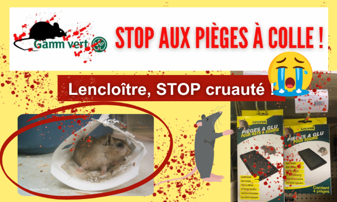Stop aux pièges à colle à Gamm vert Lencloître !
