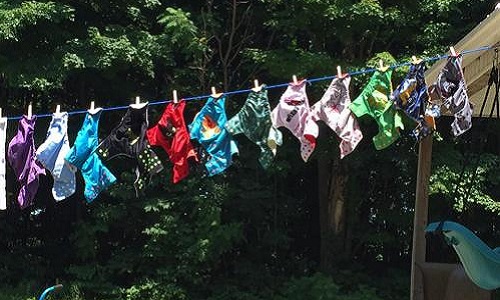 Demande de soutien financier pour les couches lavables à Gatineau