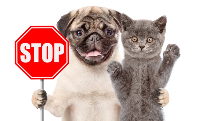 STOP aux pratiques cruelles à le Fourrière de la Martinique