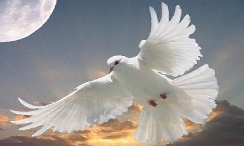 La fin de cette guerre et du terrorisme