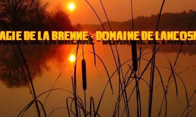 Non &agrave; la fermeture de la p&ecirc;che de la carpe au Domaine de Lancosme fin 2025!