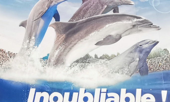 Contre la fermeture du parc marineland qui ne doit pas fermer d&eacute;finitivement pour le bien &ecirc;tre des animaux contre la d&eacute;cision du directeur g&eacute;n&eacute;ral du parc marineland d entibes