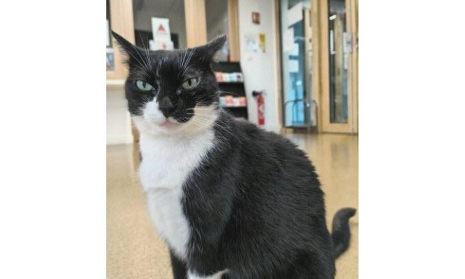 Pour que Mimine puisse continuer à vieillir paisiblement dans le seul foyer qu’elle ait jamais connu !