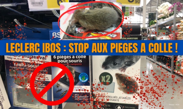 Nous ne voulons plus de piège à colle à Leclerc d’Ibos !