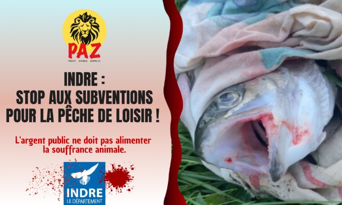 Département de l’Indre : stop aux subventions au développement du loisir pêche