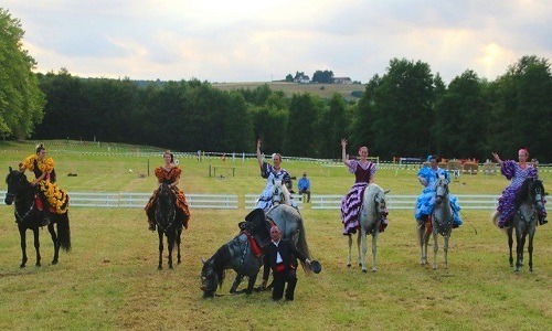 Sauvons les chevaux d'un spectacle de maltraitance !