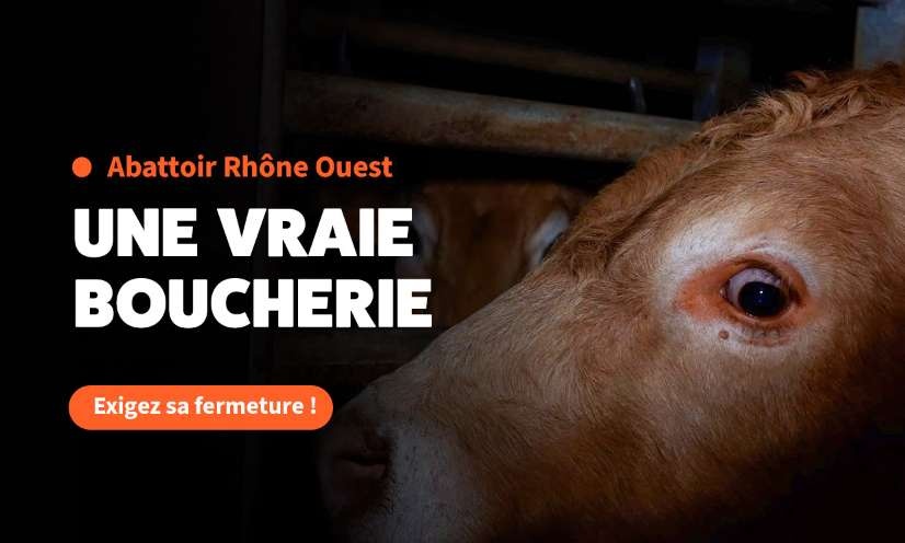 Fermons l'abattoir Rhône Ouest