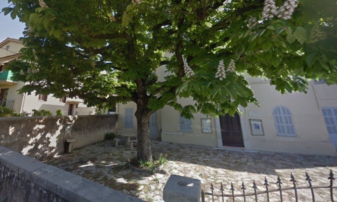 Non à l’abattage du marronnier de la bibliothèque (ancienne école) de Peymeinade ! prévu entre le 3 et 28 févier savons le !