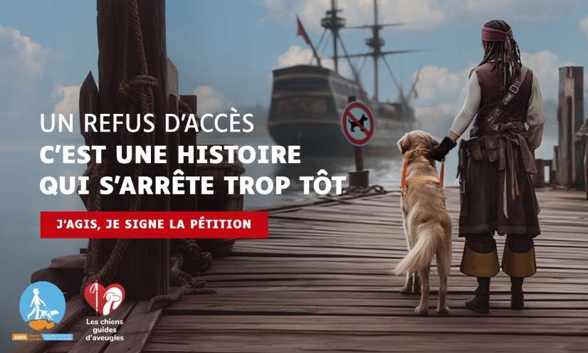 20 ans après la loi de 2005, toujours des refus illégaux pour les chiens guides et leurs maîtres !