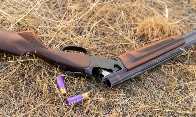 Pour l'interdiction de la chasse à Limelec !