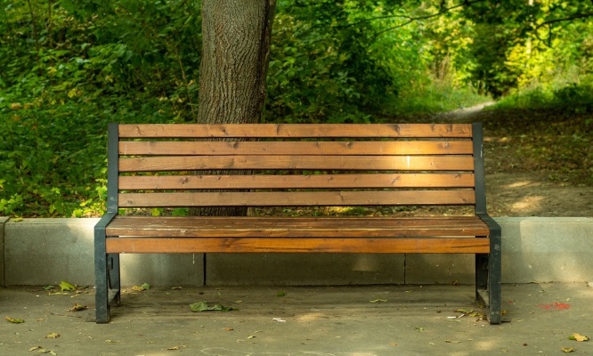 Remettre le banc autour de l’arbre au sein du jardin de la faculté de médecine