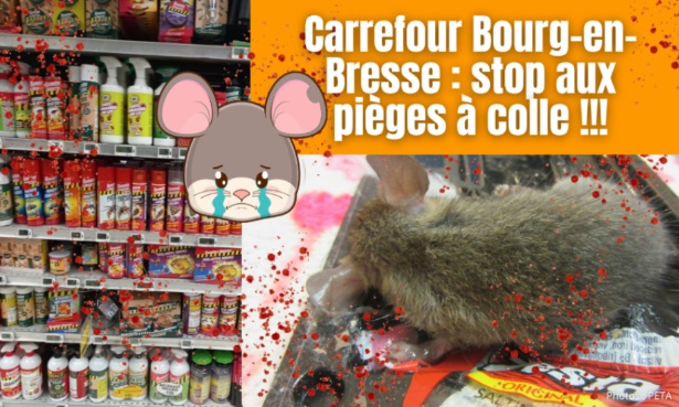 Carrefour Bourg-en-Bresse, retirez les pièges à colle de vos rayons !