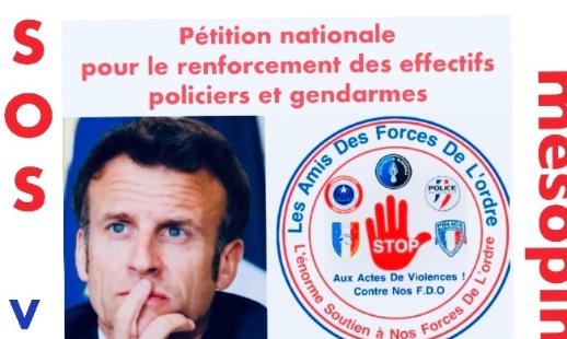 Pétition nationale pour le renforcement des effectifs policiers et gendarmes