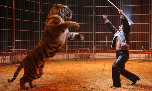 Interdiction des cirques avec animaux sur la commune d'Annonay