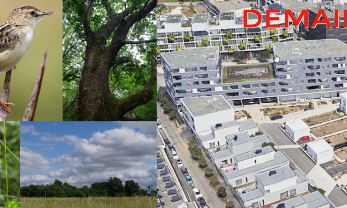 Pour la protection du dernier espace naturel urbain entre Blagnac et Beauzelle : sauvons notre poumon vert et des espèces en danger !