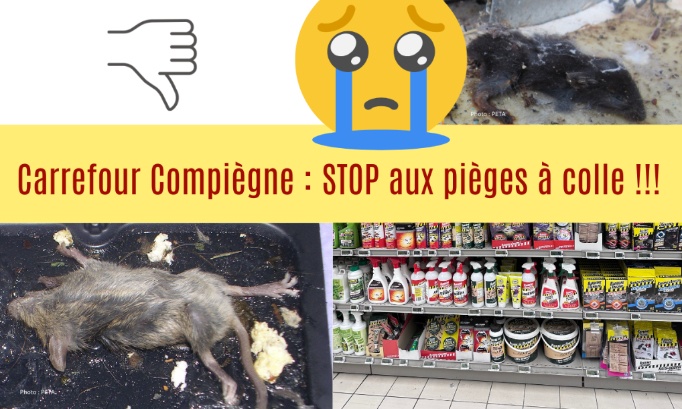 Carrefour Compiègne, merci de prendre en compte la condition animale !