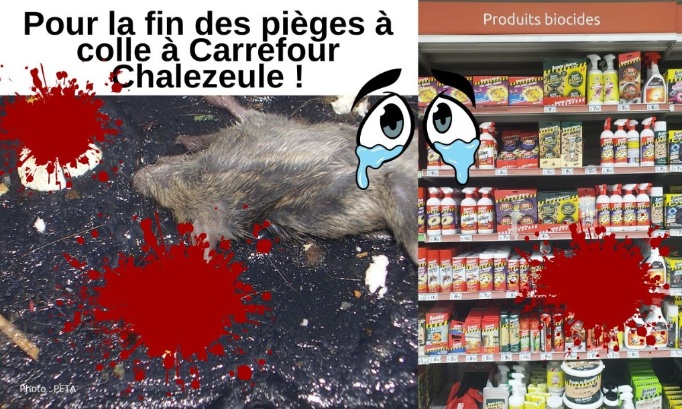 Carrefour Chalezeule, merci de prendre en compte la condition animale !