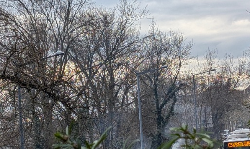 Danger : pollution atmosphérique et combustion plastique, bois sur les berges du Rhône