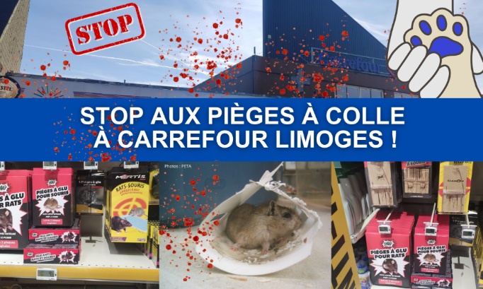 Stop à la vente des pièges à colle au Carrefour de Limoges !