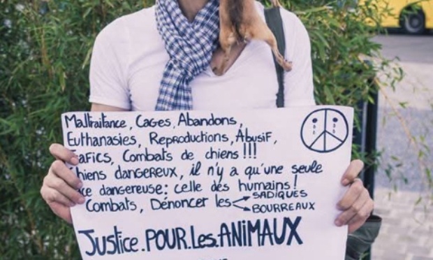 Requ&ecirc;te contre Ethias Assistance Car et Plus pour ramener mon chat !