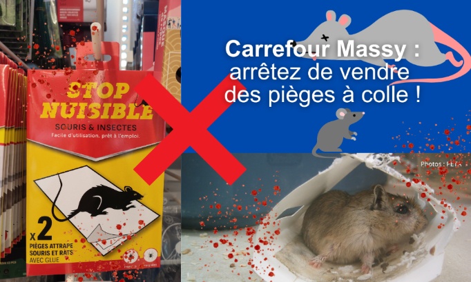 Pétition pour que Carrefour Massy ne vende plus de pièges à colle