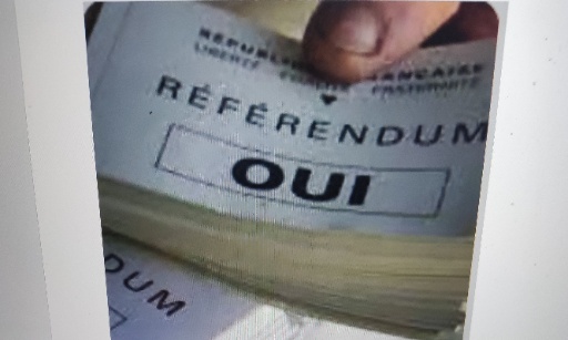 POUR LA LIBERTE D'EXPRESSION EN FRANCE EN 2025 ET A L'AVENIR