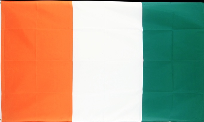 Audit et révision de la liste électorale