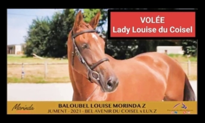 Louise come back home ! (Louise reviens vite à la maison !)