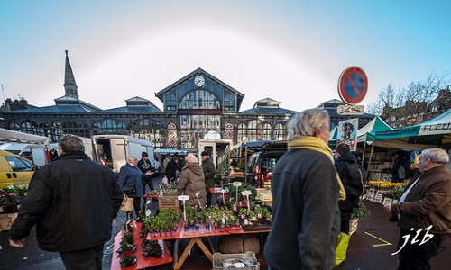 Mobilisons-nous pour sauver les platanes de la place du marché de Wazemmes