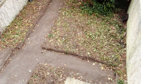 Expulsion d'un propriétaire de son domicile pour courette non entretenue