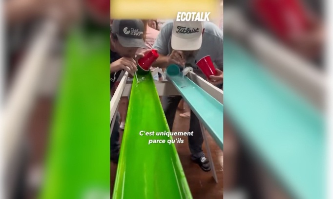 Stop aux courses de poissons rouges dans un bar de San Diego