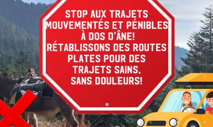 STOP aux passages sur&eacute;lev&eacute;s dangereux, handicapants et ill&eacute;gaux!