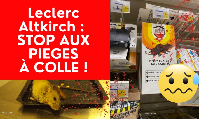 Stop aux pièges à colle au Leclerc Altkirch !