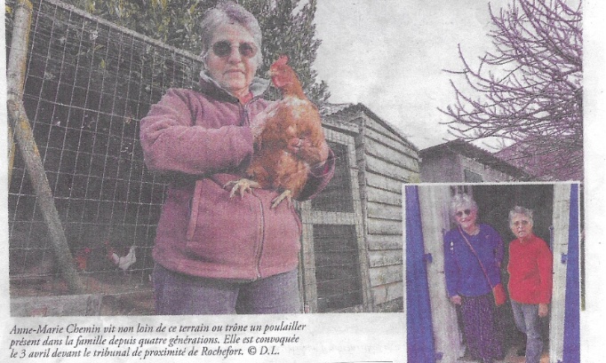 Il faut sauver le poulailler d'Anne-Marie !