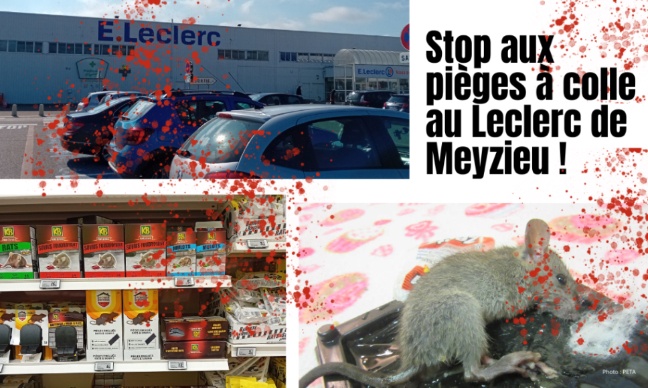 Leclerc Meyzieu, merci de cesser de vendre des pièges à colle !