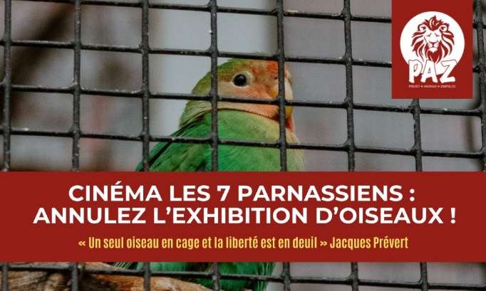 Cinéma Les 7 Parnassiens : annulez l’exhibition d’oiseaux !