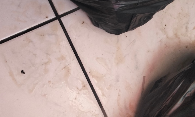 Le retour des ripeurs