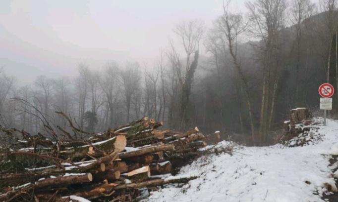 Non à l'implantation d'une antenne 5G sur la commune de Grignon Savoie)