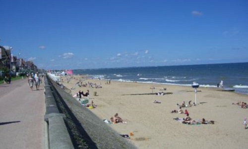 Revoir l'interdiction des chiens sur la plage de Cabourg - Proposer des plages horaires autorisées