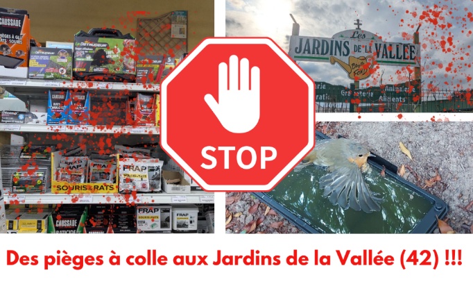 Les Jardins de la Vallée (42) : stop à la souffrance animale !