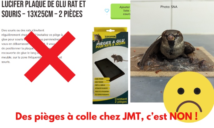 Stop aux pièges à colle chez JMT !