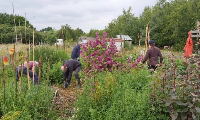 Monsieur Gaël Lefeuvre, abandonnez le projet de parc Photovoltaïque sur le site Juteauderie/Les Blanchets à Thorigné-Fouillard