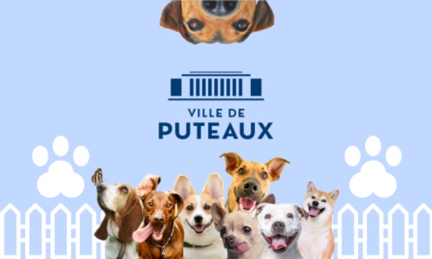 Pour la création d'un nouveau parc à chiens à Puteaux
